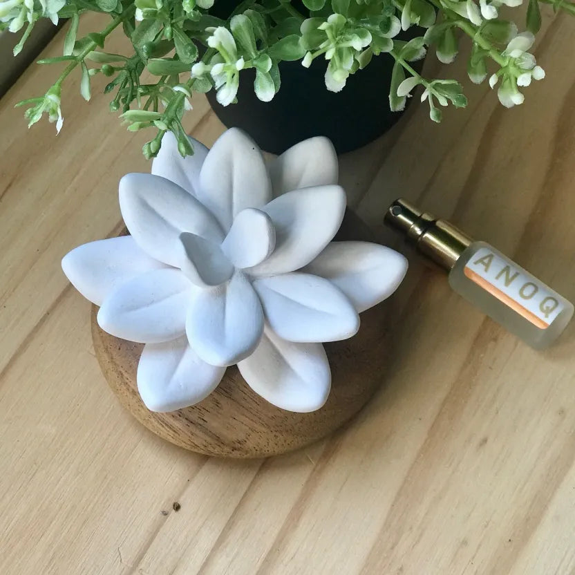 Recharge Diffuseur de Parfum 200ml – Cèdre vendu par 3
