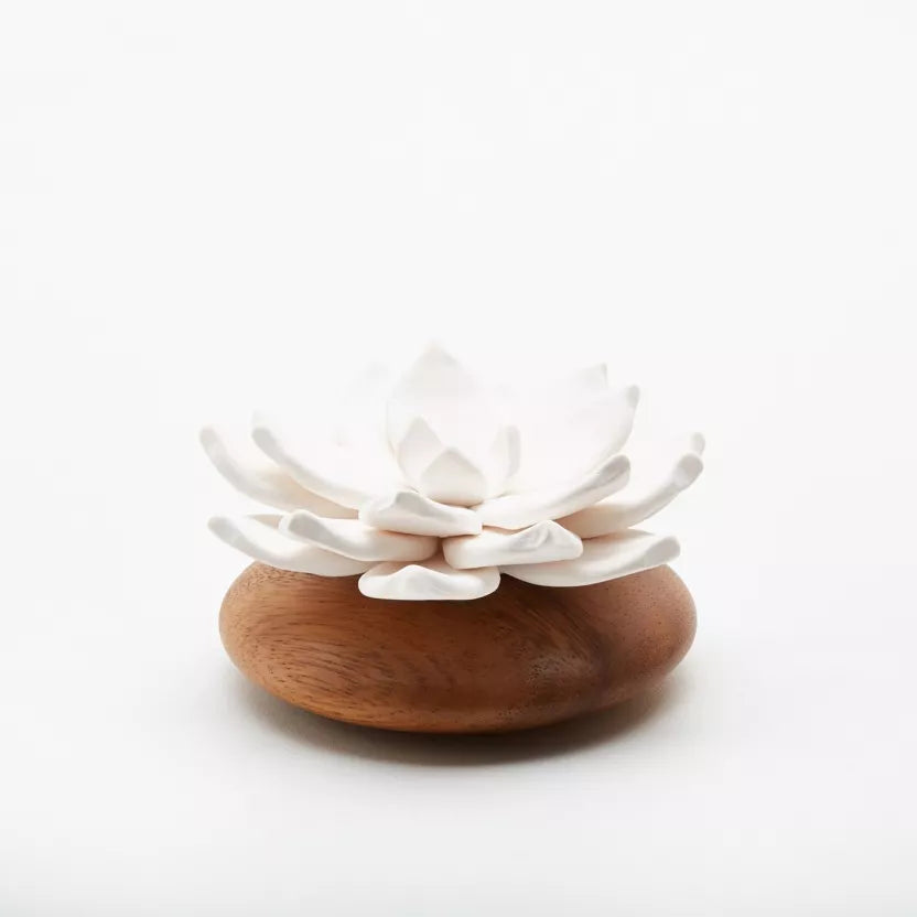 Diffuseur de Fragrances en Porcelaine - Fleur Jade du Tibet | Artisanat Français