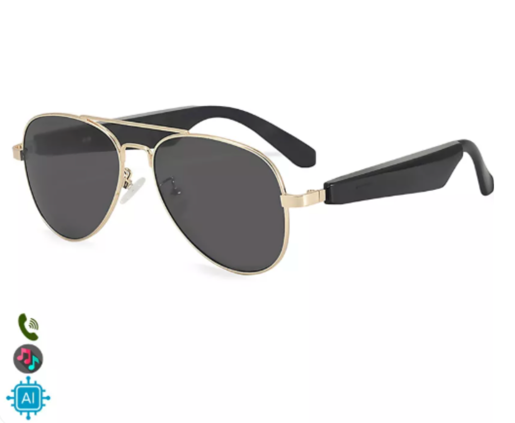 Lunettes intelligentes - RIO